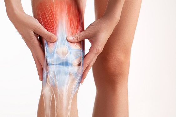 Knee Pain Information Form