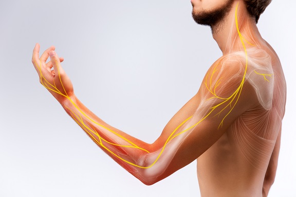 علاج الارتجاع البيولوجي من مخطط كهربية العضل